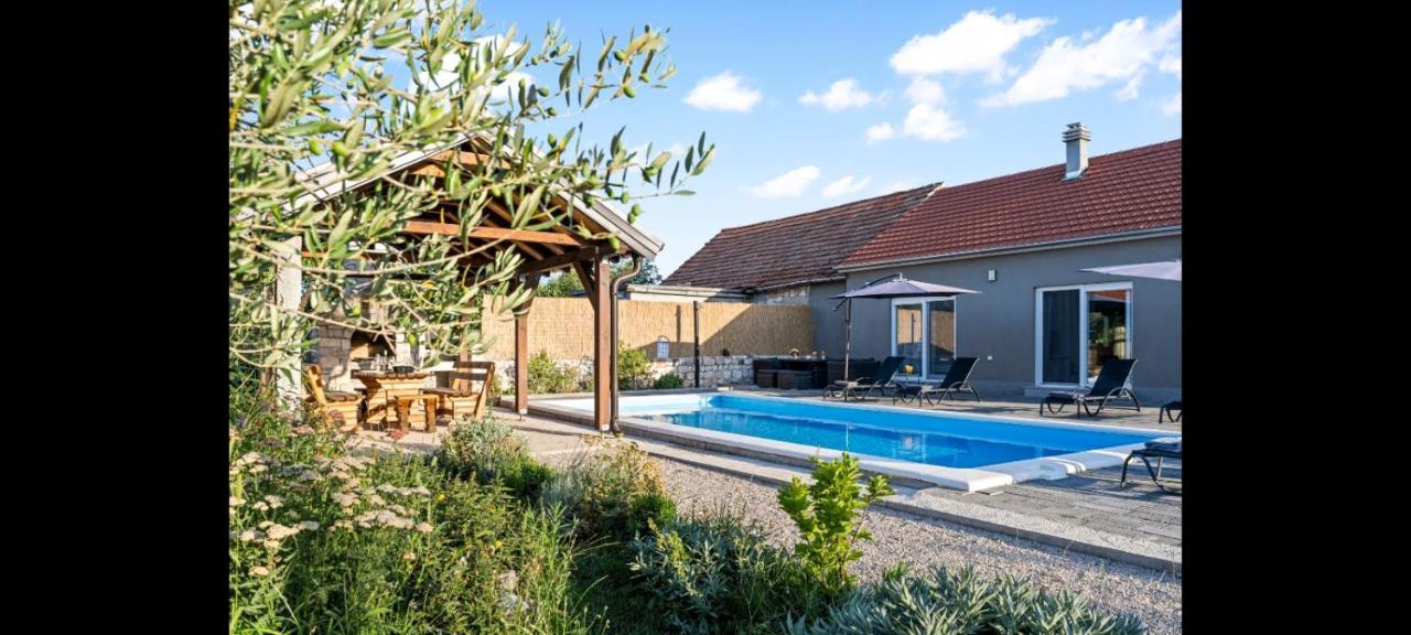 Olive Tree House With Jacuzzi, Wifi And 40M2 Pool Villa Siritovci Exterior foto