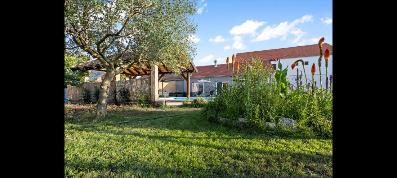 Olive Tree House With Jacuzzi, Wifi And 40M2 Pool Villa Siritovci Exterior foto