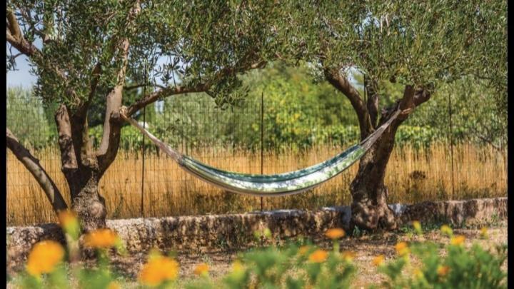 Olive Tree House With Jacuzzi, Wifi And 40M2 Pool Villa Siritovci Exterior foto